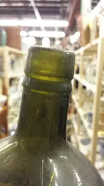 olive longneck 3.webp olive longneck 3.webp