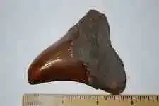 m9c9o9qZUFD3sEWnjKLm7gw.webp
