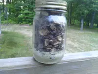 IMG_20130610_213855.webp