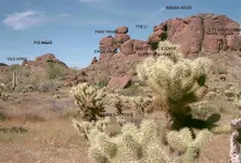 INDIAN HEAD.webp