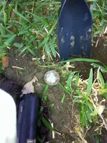 1st Silver Coin.webp