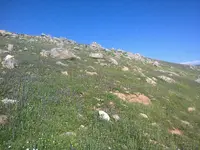 ERG0081.webp