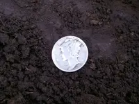 2013-06-10 41 merc dirt.webp