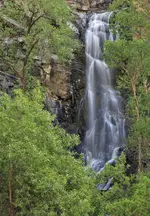 0040000.webp