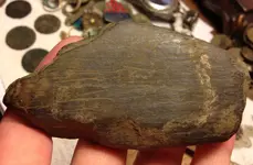 rock front resized.webp
