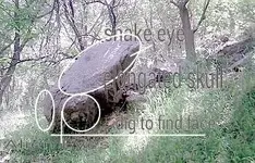 IMG_20130610_222951.webp