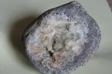 wika zielnka 001.webp