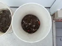 20130609_201720.webp
