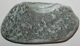 wika zielnka 043.webp