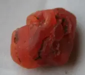 imprint bug 005.webp