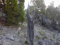 P06-07-13_19-26.webp