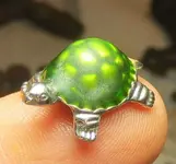 18 Sites CP SM G Wk of 061713 Turtle.webp