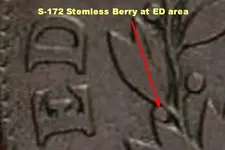 1798 S172 no stem.webp