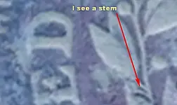 1798 mysterystem.webp
