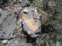 P06-07-13_16-02.webp