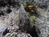 P06-07-13_13-49[2].webp