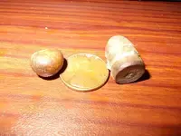 DSCN9343.webp