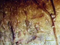 Closeup 2.webp