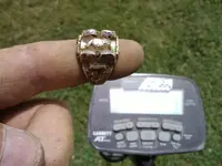 g6.webp