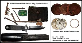 inin woods.webp