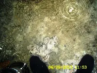 DCAM0169.webp
