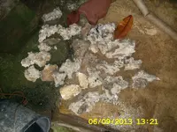 DCAM0206.webp
