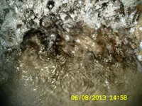 DCAM0333.webp