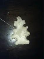 image-3525069294.webp