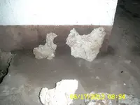 DCAM0371.webp