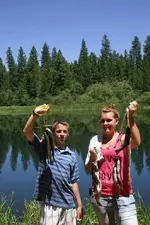 fish6.webp