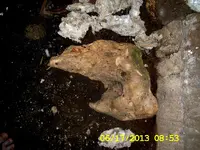 DCAM0369.webp