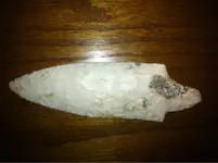 image-2900677212.webp