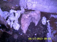 DCAM0368.webp
