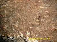 DCAM0032.webp
