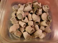 DSCF0804.webp