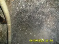 DCAM0183.webp