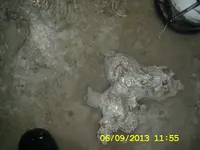 DCAM0190.webp