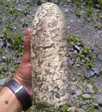 IMG-20130712-00819.webp