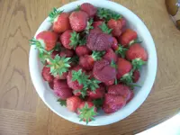 100_0548.webp