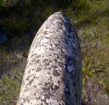 IMG-20130712-00825.webp