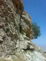 20062011398.webp