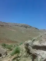 20062011402.webp