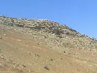ERG0155.webp