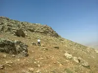 ERG0158.webp