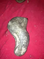 image-3102165672.webp