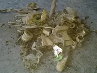 IMG_20130628_193709.webp