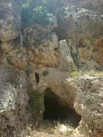 ERG0164.webp