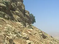 ERG0171.webp