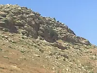 ERG0172.webp