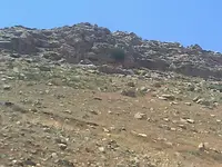 ERG0175.webp